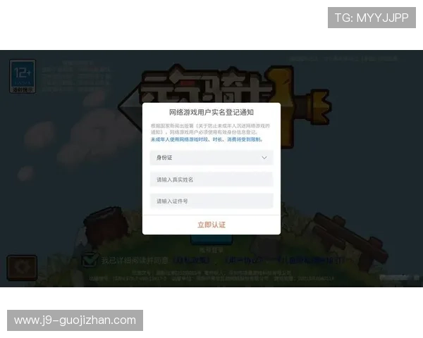 九游官网官方入口官方入口安全保障措施,保障玩家个人信息与账号安全的全面介绍